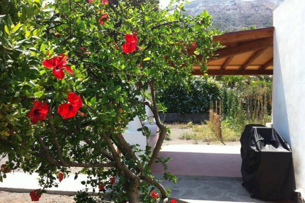 Villa By The Vulcano - 70Mq Plus Large Garden And Patio מראה חיצוני תמונה