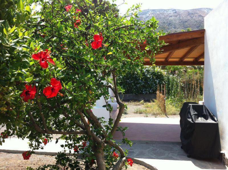 Villa By The Vulcano - 70Mq Plus Large Garden And Patio מראה חיצוני תמונה